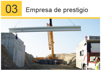 Entorno Obras y Servicios, S.L. puente